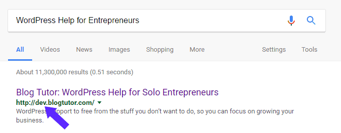 Dev Site showing up in search results