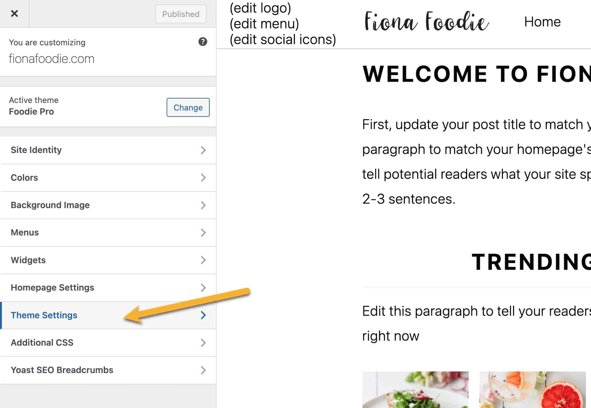 Screenshot showing the Theme Settings iniside the WordPress Customizer