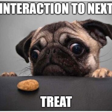 A meme of an adorable pug dog looking at a treat on a table, with the text Interaction to Next Treat.