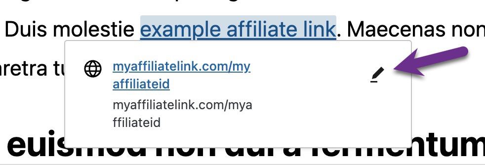 WordPress post Block Editor showing the pencil edit icon to edit a link in the text.