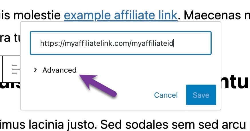WordPress post Block Editor showing the link edit modal with the Advanced option highlighted.