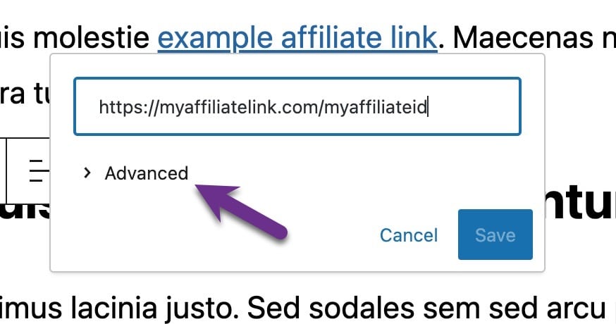 WordPress post Block Editor showing the link edit modal with the Advanced option highlighted.