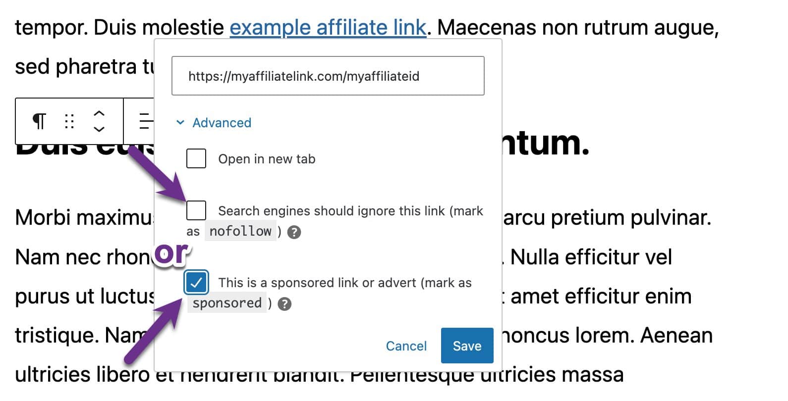 The link edit modal with the Advanced option expanded, showing the nofollow and sponsored checkboxes.