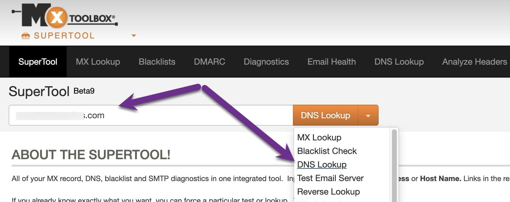 MXToolbox Supertool DNS Lookup option.