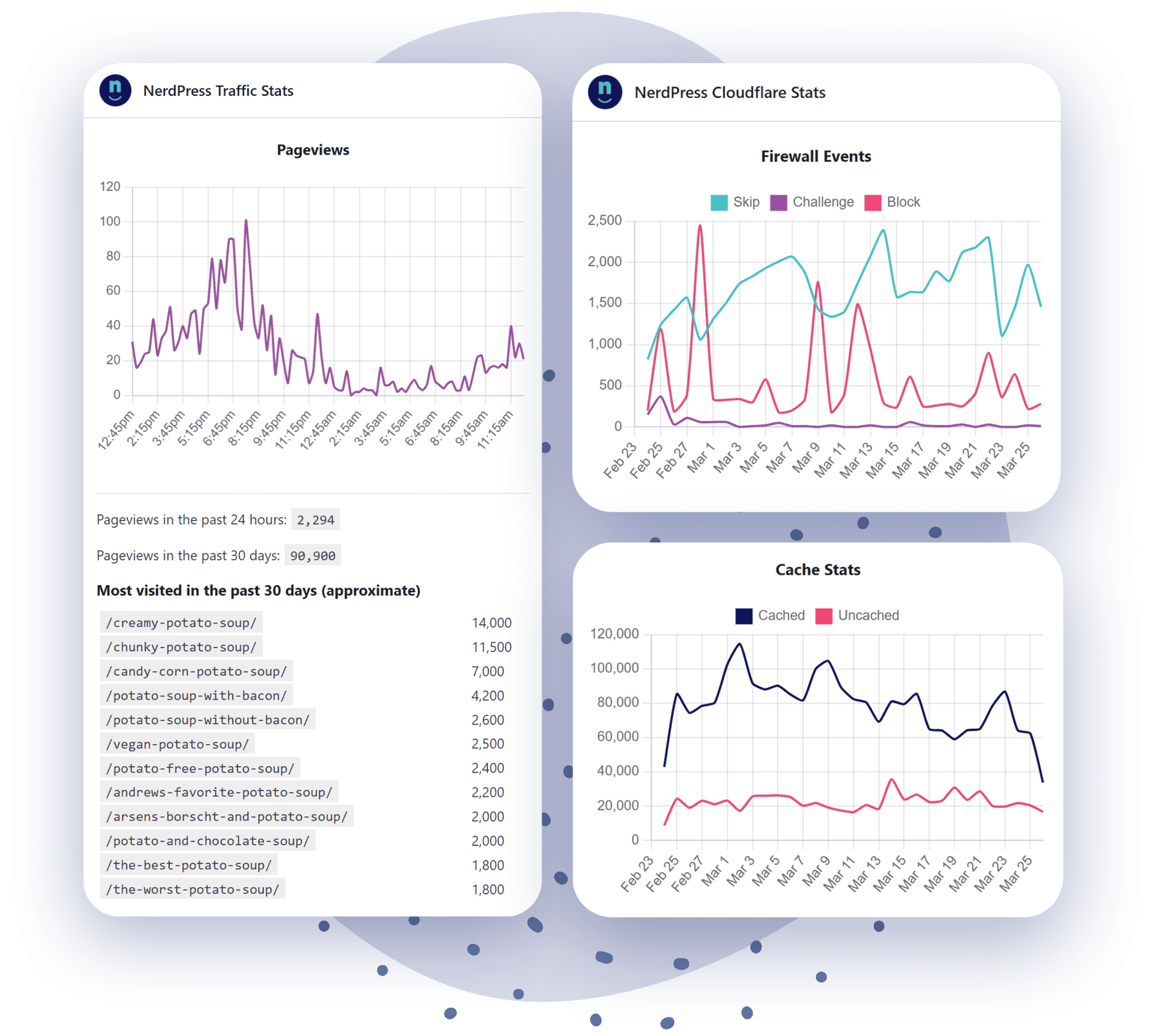 Image of the NerdPress dashboard that showcase traffic and cache stats